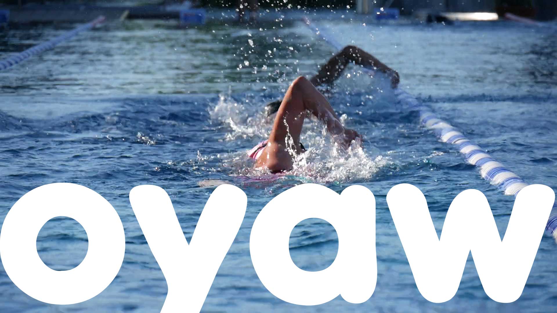 Die Idee - online per Video